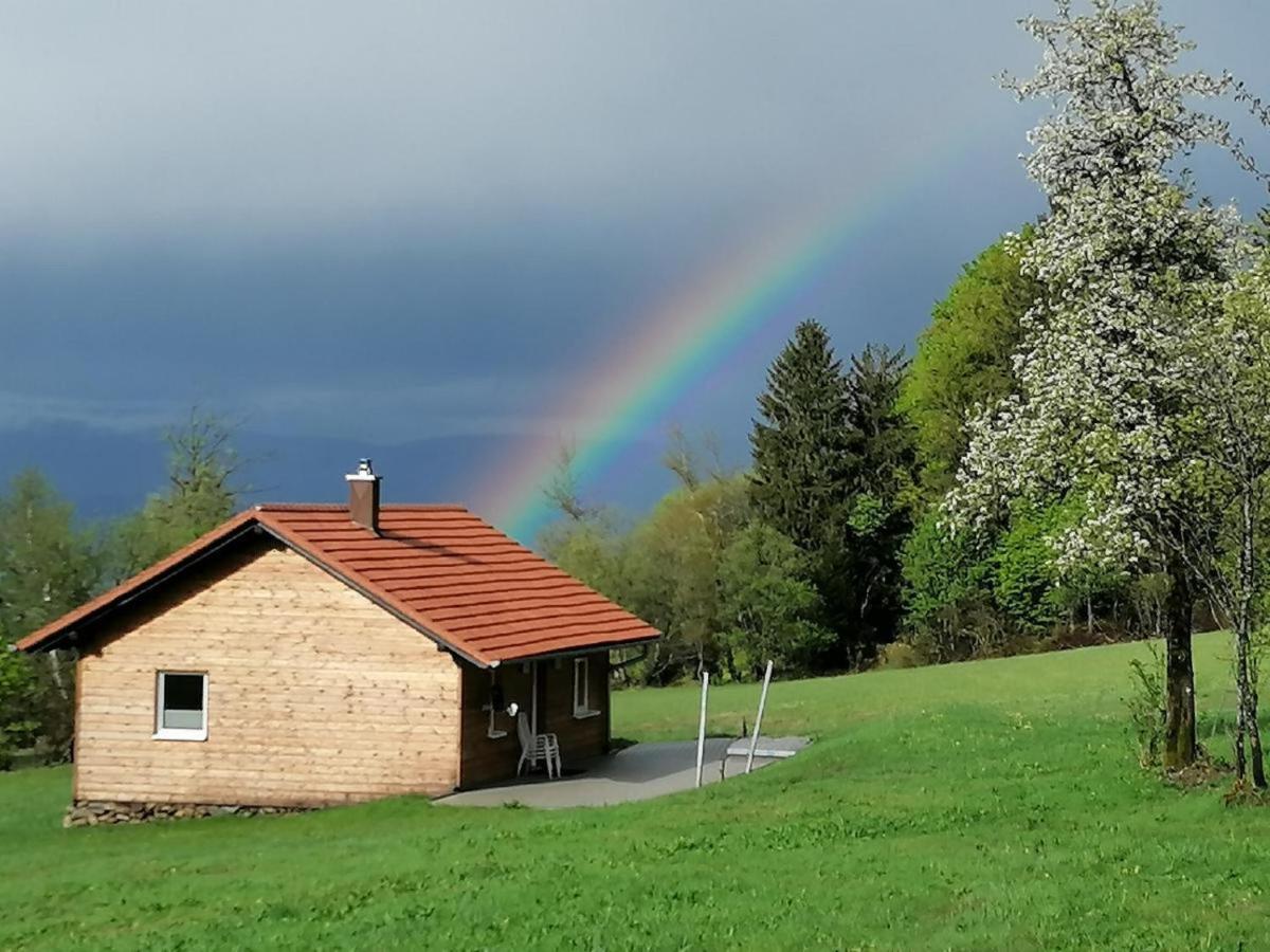 Wild Life Ranch Villa Schofweg Luaran gambar