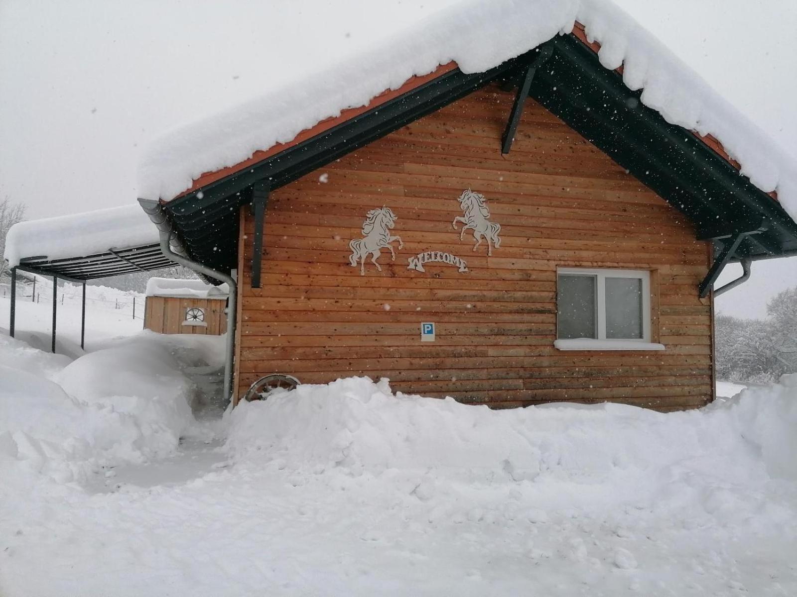 Wild Life Ranch Villa Schofweg Luaran gambar