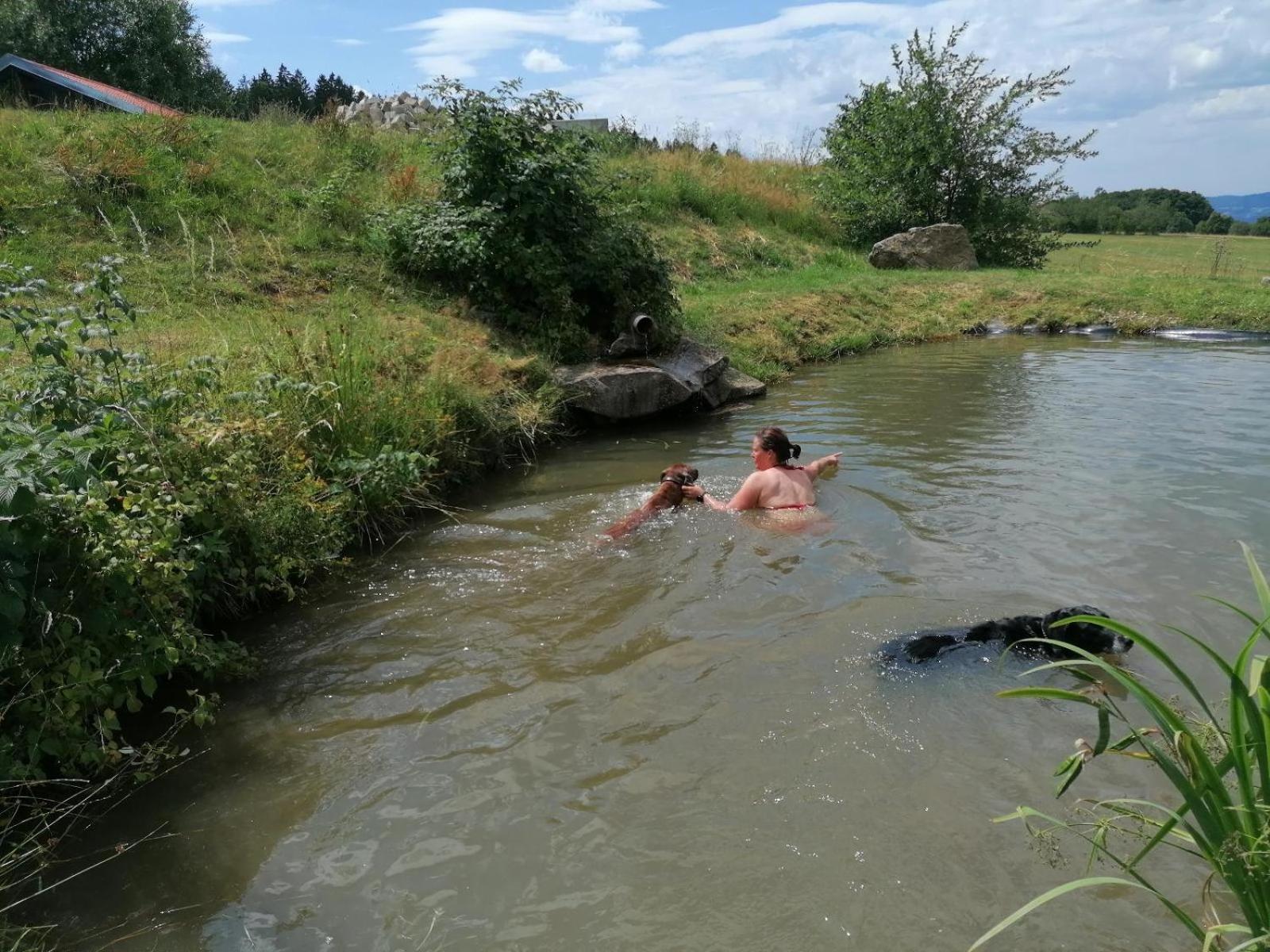 Wild Life Ranch Villa Schofweg Luaran gambar