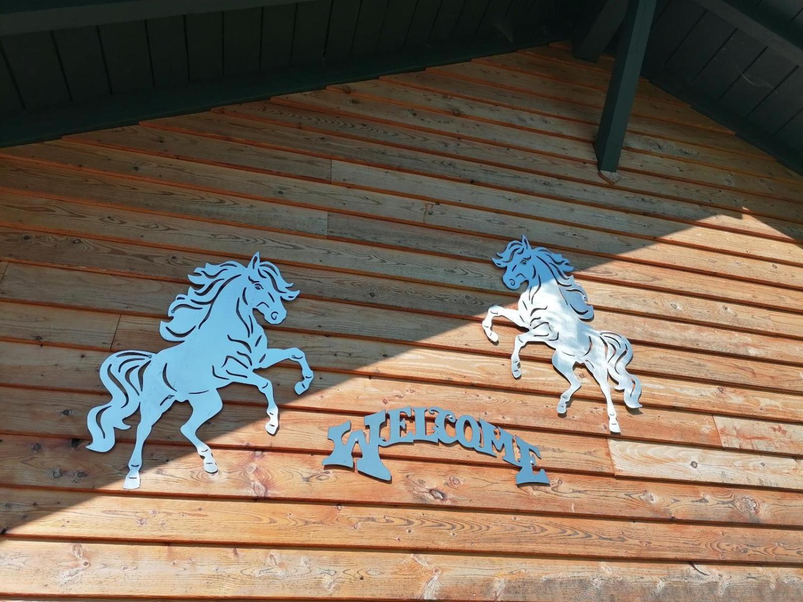 Wild Life Ranch Villa Schofweg Luaran gambar