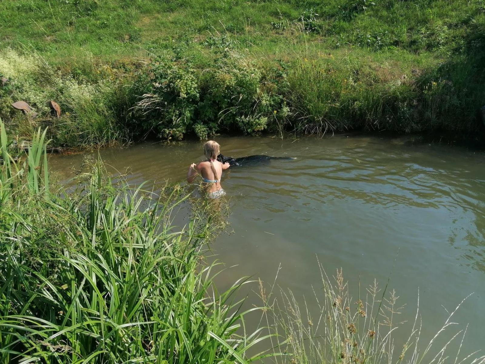 Wild Life Ranch Villa Schofweg Luaran gambar